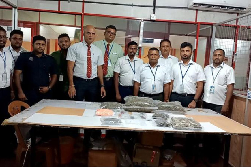 SL Customs grasp largest ‘Magic Mushroom’ haul in history worth Rs.70Mn