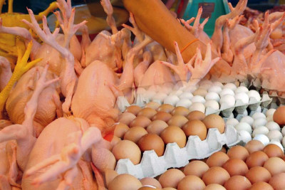 Govt. to stop imports of egg and chicken from next year