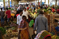 Sri Lanka’s inflation eases to 2.5% in March 2024