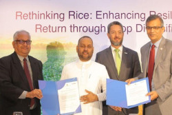 USAID and FAO support Sri Lanka's Agricultural Revival