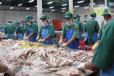 Japan grants 200 million yen for Sri Lanka’s fisheries industry