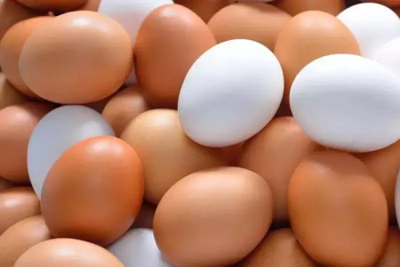 Sri Lanka to receive 3 million eggs imported from India