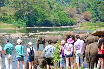 SL fulfils 39% of tourist arrival target set for September