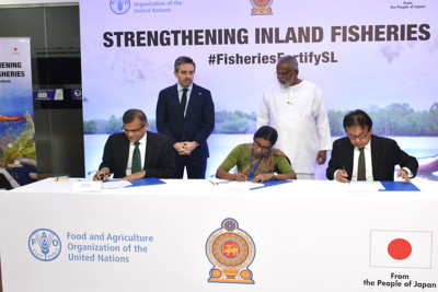 Japan provides $3M through FAO to strengthen inland fisheries in Sri Lanka