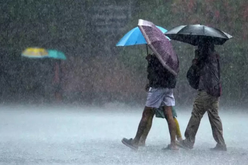 Advisory on heavy rain warning issued for seven districts