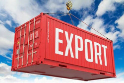 February exports see marginal growth amid yearly decline